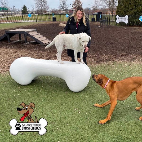 Dog Playground Equipment Agility Bone LG 01.jpg