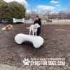 Dog Playground Equipment Agility Bone LG 03 1.jpg