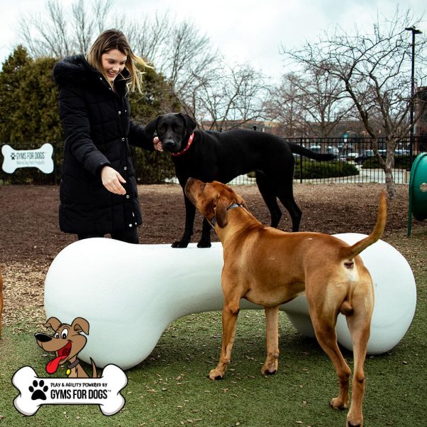Dog Playground Equipment Agility Bone LG 06.jpg