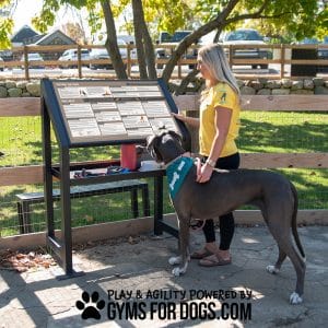 Dog Playground Equipment Professional Dog Park Sign Nutmeg3.jpg