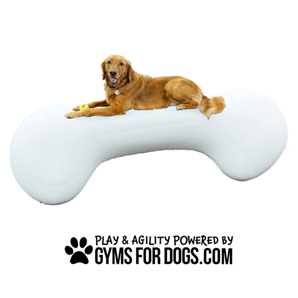 NEW AgilityBone FBR Large 4.png - Gyms For Dogs NEW AgilityBone FBR Large 4.png