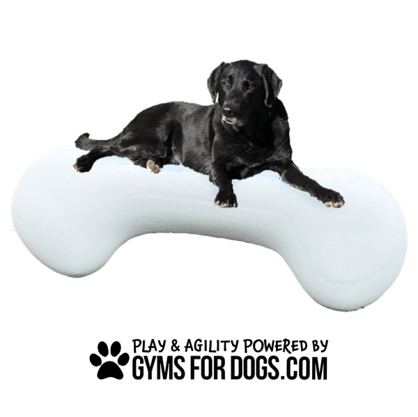 NEW AgilityBone FBR Small 9.png - Gyms For Dogs NEW AgilityBone FBR Small 9.png