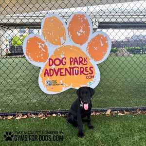 Puppy Birmingham PawSign