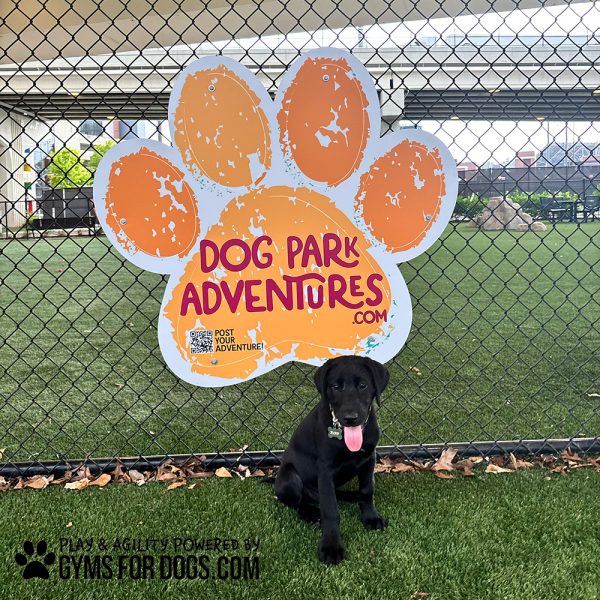 Puppy Birmingham PawSign