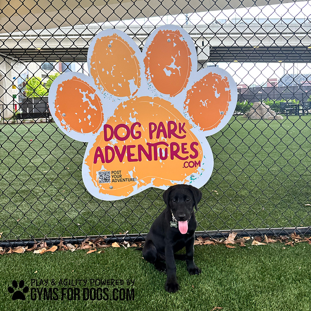 Puppy Birmingham PawSign