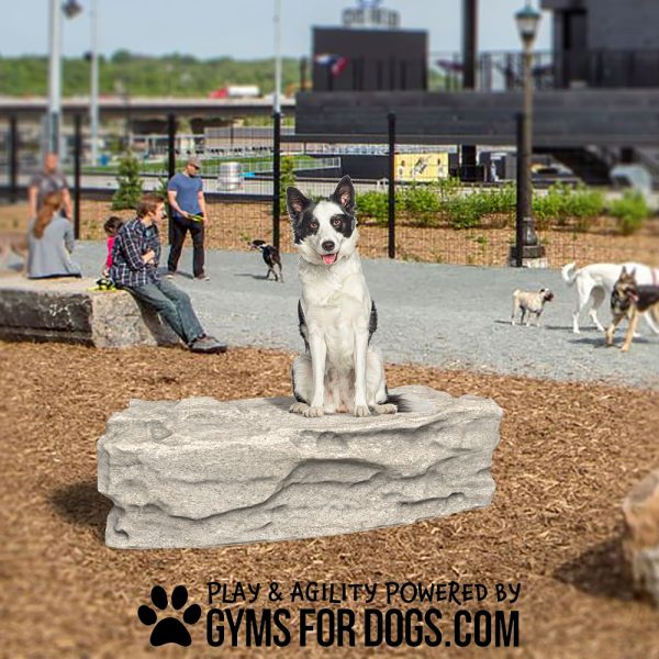 BlockRumble NaturalTheme GymsForDogs11212