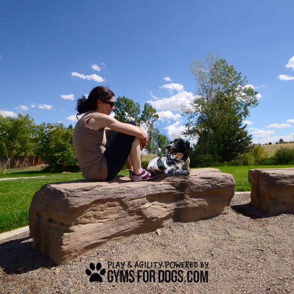 GymsForDogs BlockRumble3