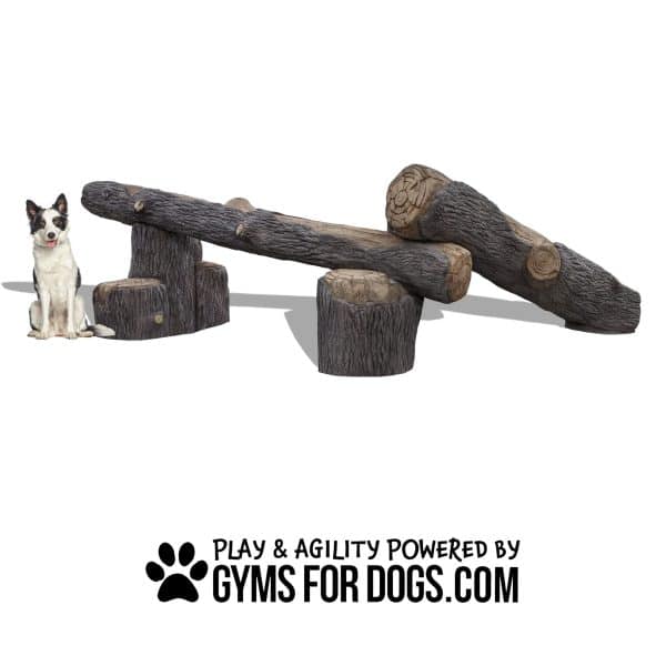 GymsForDogs InteractivePackLogs scaled 1.jpg