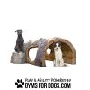GymsForDogs LogTunnelClimb2525353