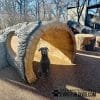 GymsForDogs LogTunnelClimb5.jpg