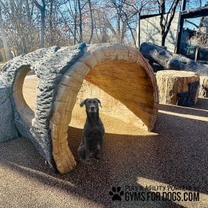 GymsForDogs LogTunnelClimb5.jpg