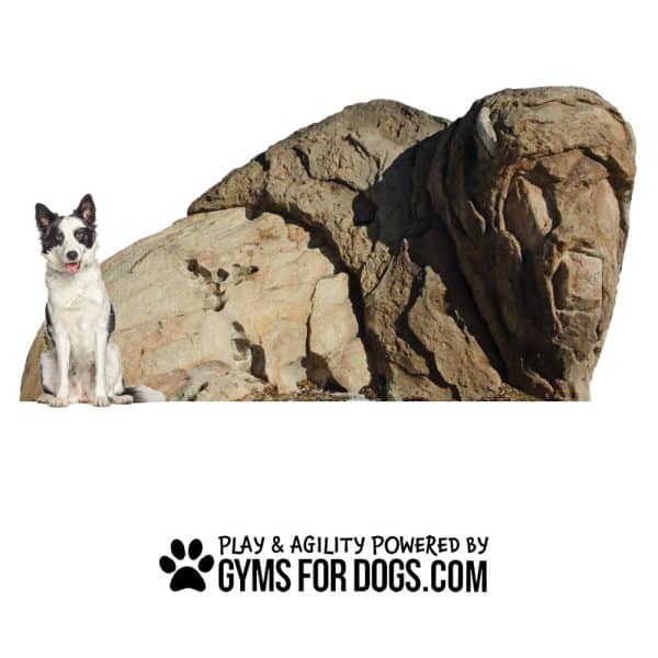 GymsForDogs Ranger3.jpg