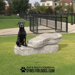 AgilityOverlookFlat NaturalTheme GymsForDogs11