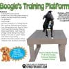 BoogiesTPjpg - Gyms For Dogs BoogiesTPjpg