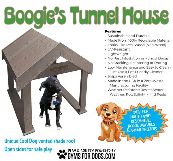 BoogiesThjpg - Gyms For Dogs BoogiesThjpg