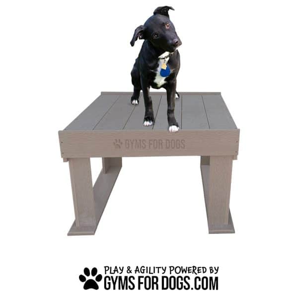 BoogiesTrainingPlatformjpg - Gyms For Dogs BoogiesTrainingPlatformjpg