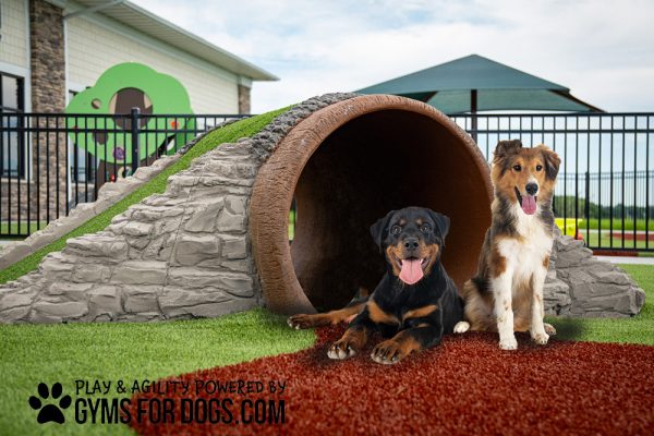 GFD TunnelClimb Doggies