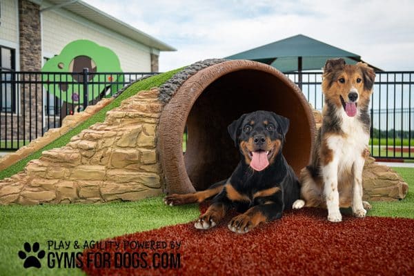 HillbillyTunnelClimb GymsForDogs Page 2.jpg