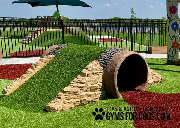 HillbillyTunnelClimb GymsForDogs Page c.jpg