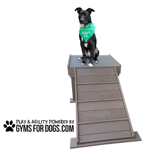 IMG 25292 cutoutside webjpg