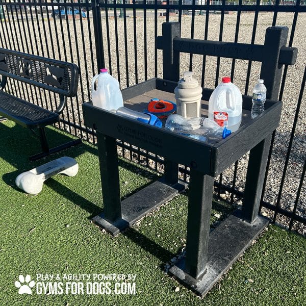 IMG 8023jpg - Gyms For Dogs IMG 8023jpg