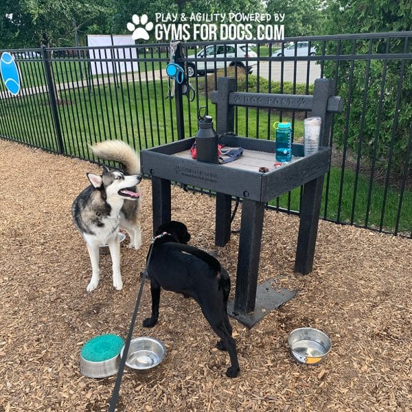 IMG 8265jpg - Gyms For Dogs IMG 8265jpg