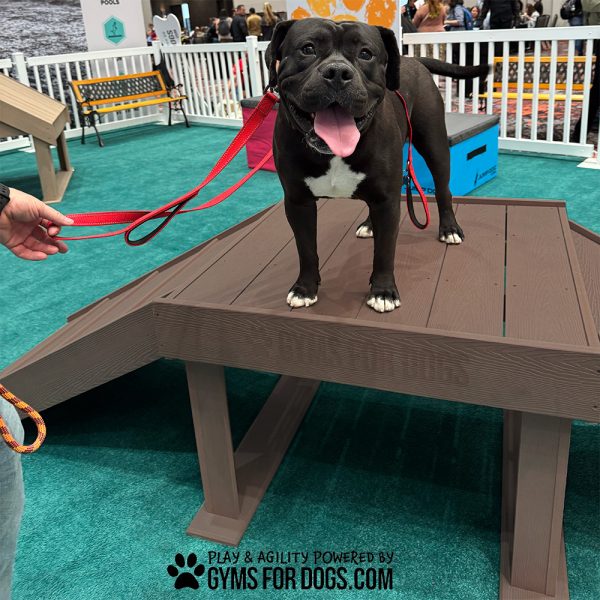 InteractiveAnimalSeries BridgeClimb GymsForDogs 2