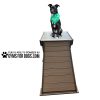 InteractiveAnimalSeries BridgeClimb GymsForDogs 3 InteractiveAnimalSeries BridgeClimb GymsForDogs 3