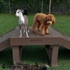 InteractiveAnimalSeries BridgeClimb GymsForDogs 88 InteractiveAnimalSeries BridgeClimb GymsForDogs 88
