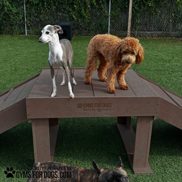 InteractiveAnimalSeries BridgeClimb GymsForDogs 88