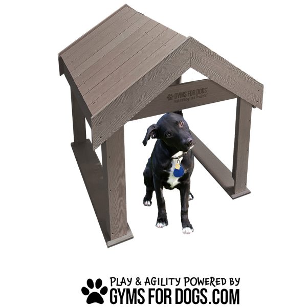 InteractiveAnimalSeries TunnelHouse GymsForDogs 1