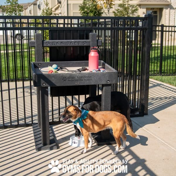 NEW TheDogPost LeashPost Harmonyjpg - Gyms For Dogs NEW TheDogPost LeashPost Harmonyjpg