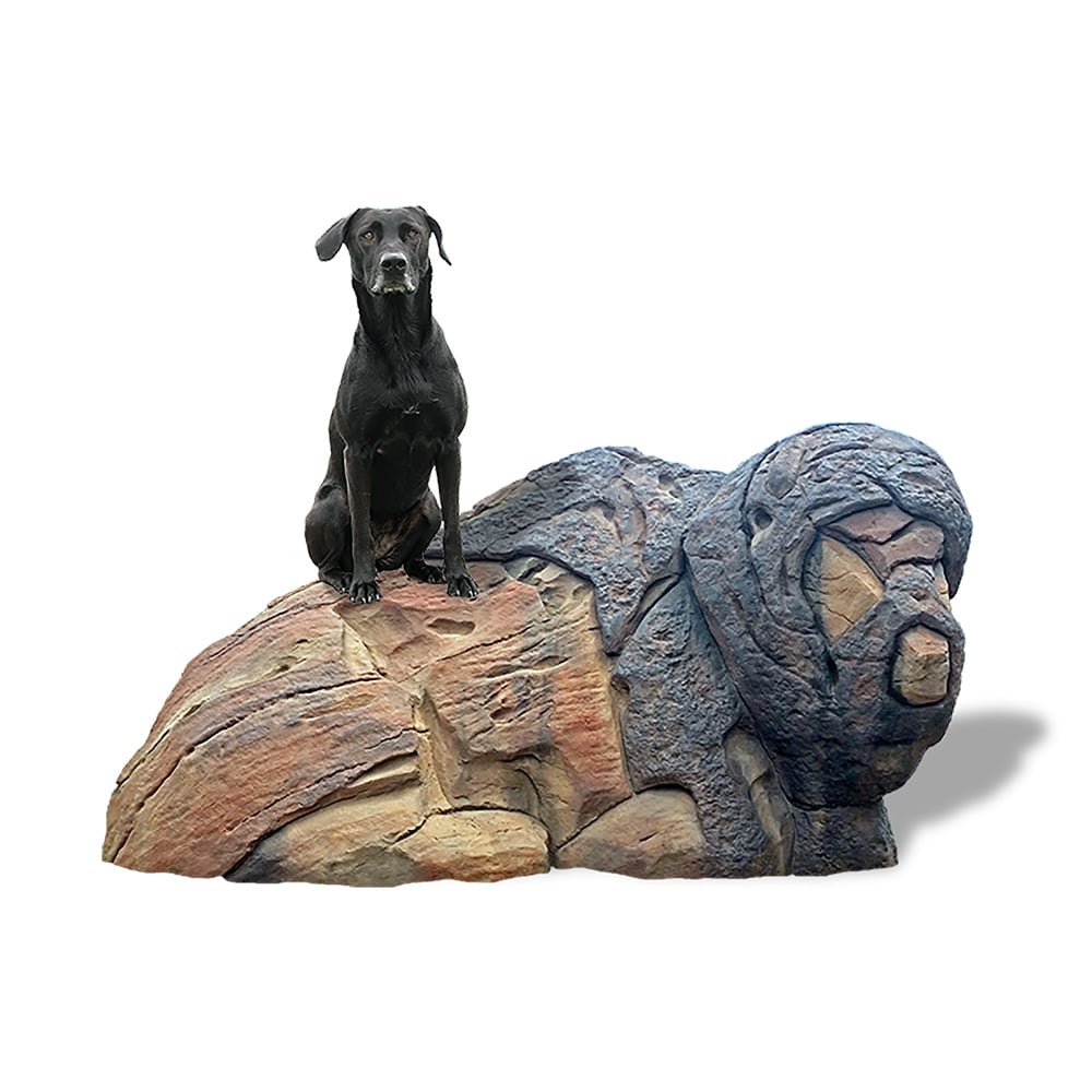 Ranger InteractivePlay Install GymsForDogs Page 3kk