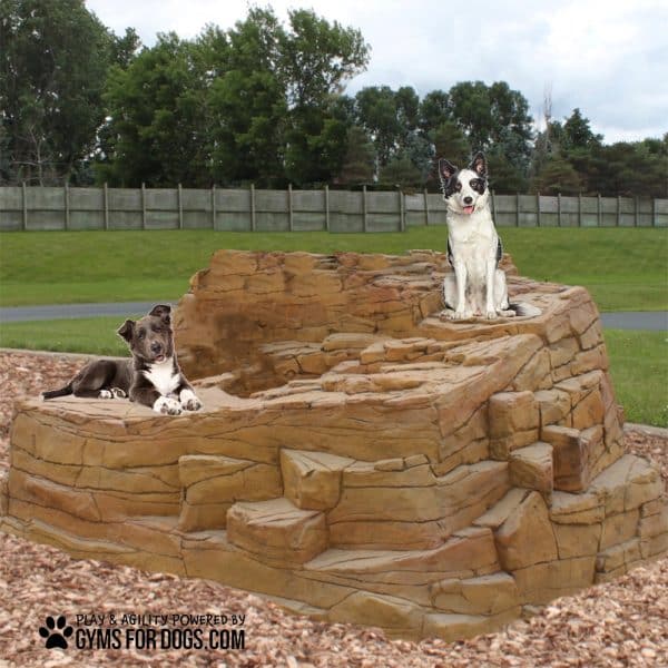 RockyMountainClimb Install GymsForDogsHOME.jpg