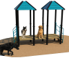 Social Play   Cafe 24 NEW Roof   With Dogs HOME