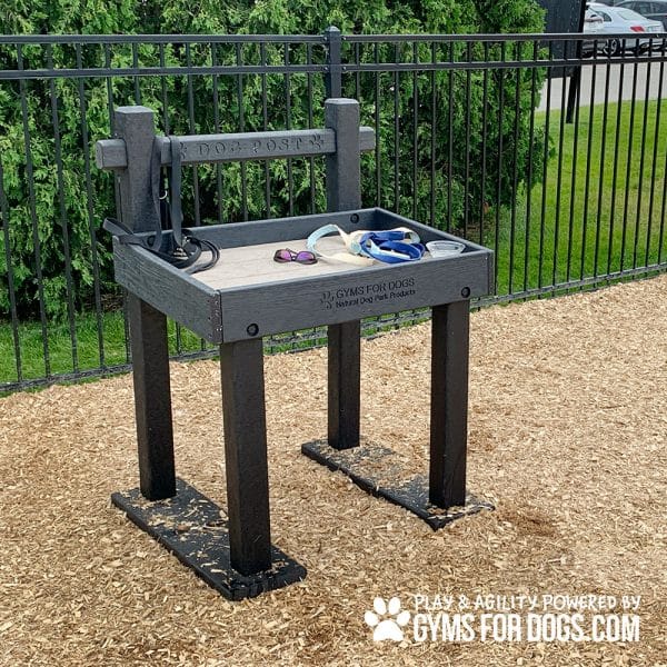 TheDogPost LeashPost CT2 1jpg - Gyms For Dogs TheDogPost LeashPost CT2 1jpg