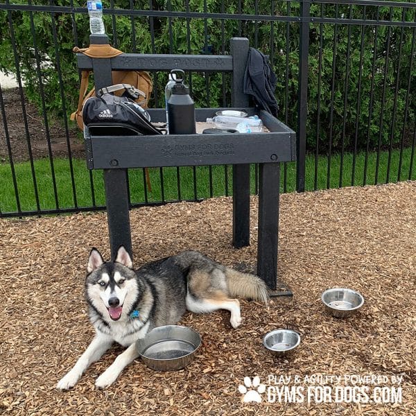 TheDogPost LeashPost CT3 1jpg - Gyms For Dogs TheDogPost LeashPost CT3 1jpg