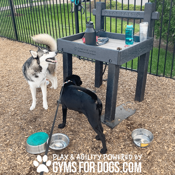 TheDogPost LeashPost CT4png - Gyms For Dogs TheDogPost LeashPost CT4png