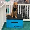ACE GymsForDogs TrainingBoxes 3jpg