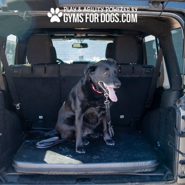 GFD plyo box 6 in auto pad Remy2jpg