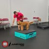 GFD foam plyo boxes blue tristategreen2 GFD foam plyo boxes blue tristategreen2