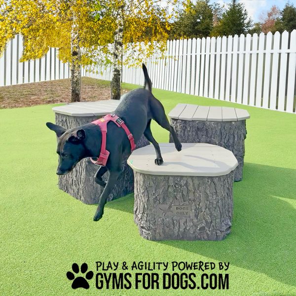 GymsForDogs JumpingStumps Set Maggie