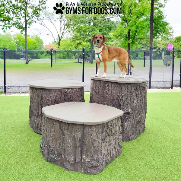 GymsForDogs JumpingStumps Set Rizzo2