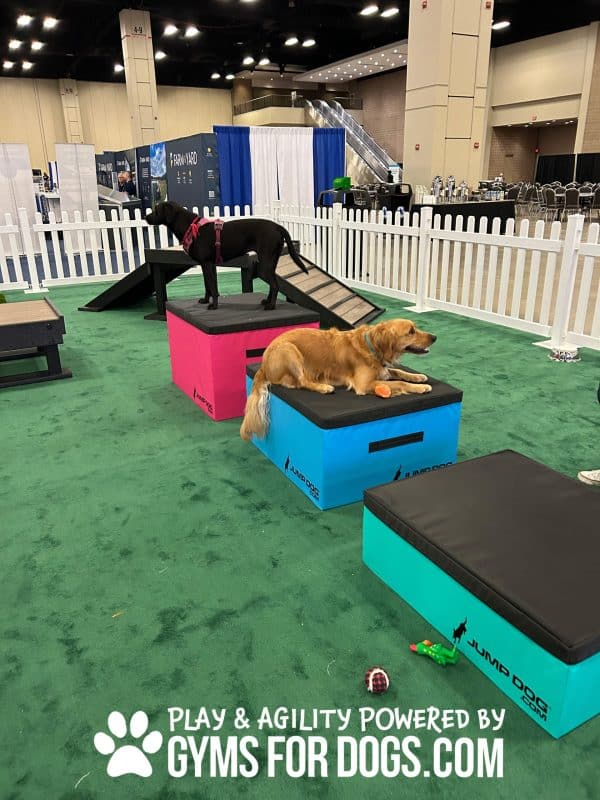 JumpBoxes 3 scaled 1jpg