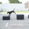 JumpDog AgilityTrainingBoxes fullSet scaled 1jpg