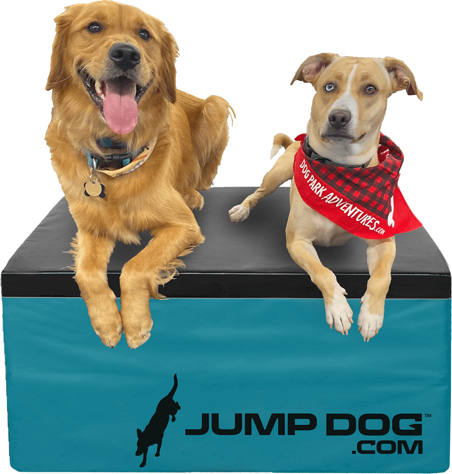Enhance Canine Fitness with Our 18-Inch Jump Training Boxes