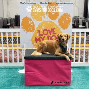 TrainingBoxes HomePage dog ACE2jpg