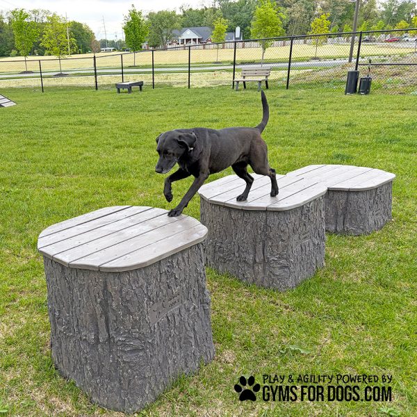 West Carmel JumpingStumps Maggie