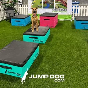 dog park equipment jumpbox set2