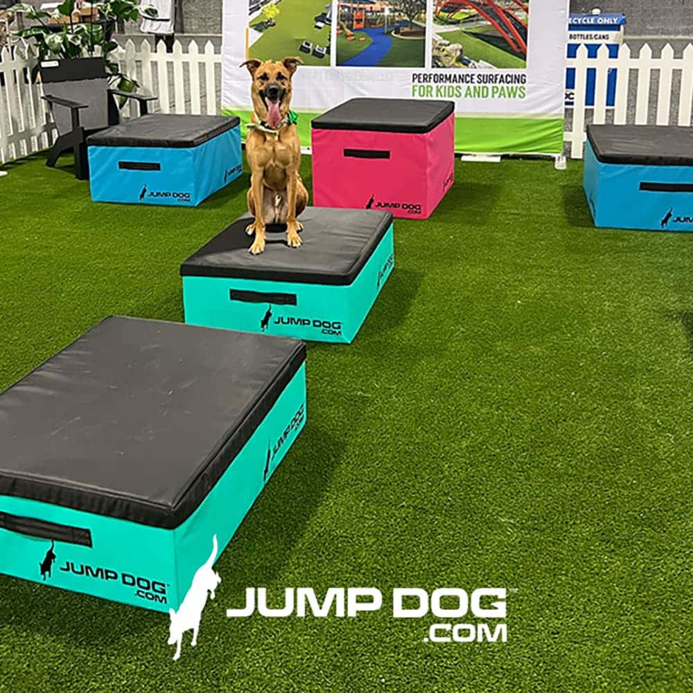 dog park equipment jumpbox set2